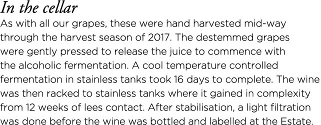 In the cellar As with all our grapes, these were hand harvested mid-way through the harvest season of 2017  The deste   